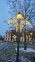 Bild: Peter Blei unterwegs in Magdeburg