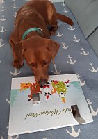 Bild: Heinrich und sein Adventskalender