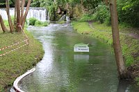 An der Seufzerallee heute Vormittag Bild: An der Seufzerallee heute Vormittag