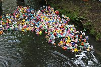 An der Seufzerallee heute Vormittag Bild: An der Seufzerallee heute Vormittag