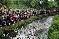 An der Seufzerallee heute Vormittag Bild: An der Seufzerallee heute Vormittag