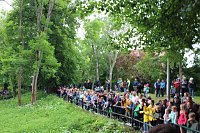 An der Seufzerallee heute Vormittag Bild: An der Seufzerallee heute Vormittag