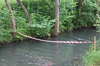 Beim Zieleinlauf im Riedgraben Bild: Beim Zieleinlauf im Riedgraben