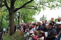 Beim Zieleinlauf im Riedgraben Bild: Beim Zieleinlauf im Riedgraben