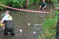 Beim Zieleinlauf im Riedgraben Bild: Beim Zieleinlauf im Riedgraben