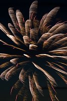 Feuerwerk zum Brunnenfest 2024 Bild: Feuerwerk zum Brunnenfest 2024