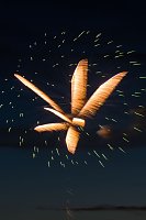 Feuerwerk zum Brunnenfest 2024 Bild: Feuerwerk zum Brunnenfest 2024