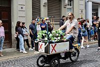 Großer festlicher Umzug zum 211. Brunnenfest in Bad Langensalza Bild: Großer festlicher Umzug zum 211. Brunnenfest in Bad Langensalza