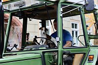 Großer festlicher Umzug zum 211. Brunnenfest in Bad Langensalza Bild: Großer festlicher Umzug zum 211. Brunnenfest in Bad Langensalza
