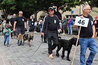 Farbenfroher Festumzug zum 211. Brunnenfest in Bad Langensalza Bild: Farbenfroher Festumzug zum 211. Brunnenfest in Bad Langensalza