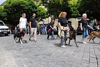 Farbenfroher Festumzug zum 211. Brunnenfest in Bad Langensalza Bild: Farbenfroher Festumzug zum 211. Brunnenfest in Bad Langensalza