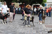 Farbenfroher Festumzug zum 211. Brunnenfest in Bad Langensalza Bild: Farbenfroher Festumzug zum 211. Brunnenfest in Bad Langensalza