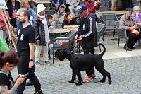 Teilnehmerinnen und Teilnehmer des Festumzuges zum 211. Brunnenfest in Bad Langensalza Bild: Teilnehmerinnen und Teilnehmer des Festumzuges zum 211. Brunnenfest in Bad Langensalza