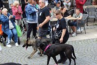 Teilnehmerinnen und Teilnehmer des Festumzuges zum 211. Brunnenfest in Bad Langensalza Bild: Teilnehmerinnen und Teilnehmer des Festumzuges zum 211. Brunnenfest in Bad Langensalza