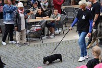 Teilnehmerinnen und Teilnehmer des Festumzuges zum 211. Brunnenfest in Bad Langensalza Bild: Teilnehmerinnen und Teilnehmer des Festumzuges zum 211. Brunnenfest in Bad Langensalza