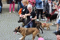 Teilnehmerinnen und Teilnehmer des Festumzuges zum 211. Brunnenfest in Bad Langensalza Bild: Teilnehmerinnen und Teilnehmer des Festumzuges zum 211. Brunnenfest in Bad Langensalza