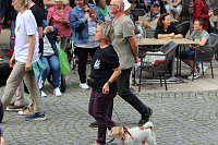 Teilnehmerinnen und Teilnehmer des Festumzuges zum 211. Brunnenfest in Bad Langensalza Bild: Teilnehmerinnen und Teilnehmer des Festumzuges zum 211. Brunnenfest in Bad Langensalza