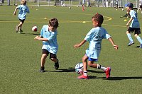 Fussball-Sommercamp im Stadion der Freundschaft in Bad Langensalza Bild: Fussball-Sommercamp im Stadion der Freundschaft in Bad Langensalza
