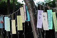 TANABATA im Japanischen Garten in Bad Langensalza Bild: TANABATA im Japanischen Garten in Bad Langensalza