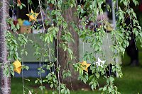 TANABATA im Japanischen Garten in Bad Langensalza Bild: TANABATA im Japanischen Garten in Bad Langensalza