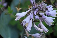 Unterwegs in Wald und Wiese Bild: Unterwegs in Wald und Wiese