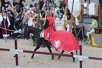 Hochprofessionelle Reitershow mit "Wenzel Ritterspiele" Bild: Hochprofessionelle Reitershow mit "Wenzel Ritterspiele"