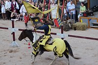 Hochprofessionelle Reitershow mit "Wenzel Ritterspiele" Bild: Hochprofessionelle Reitershow mit "Wenzel Ritterspiele"