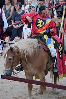 Hochprofessionelle Reitershow mit "Wenzel Ritterspiele" Bild: Hochprofessionelle Reitershow mit "Wenzel Ritterspiele"