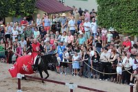Hochprofessionelle Reitershow mit "Wenzel Ritterspiele" Bild: Hochprofessionelle Reitershow mit "Wenzel Ritterspiele"