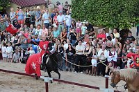 Hochprofessionelle Reitershow mit "Wenzel Ritterspiele" Bild: Hochprofessionelle Reitershow mit "Wenzel Ritterspiele"