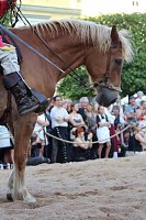 Hochprofessionelle Reitershow mit "Wenzel Ritterspiele" Bild: Hochprofessionelle Reitershow mit "Wenzel Ritterspiele"