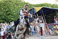 Hochprofessionelle Reitershow mit "Wenzel Ritterspiele" Bild: Hochprofessionelle Reitershow mit "Wenzel Ritterspiele"