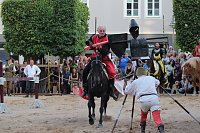 Hochprofessionelle Reitershow mit "Wenzel Ritterspiele" Bild: Hochprofessionelle Reitershow mit "Wenzel Ritterspiele"