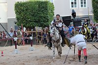 Hochprofessionelle Reitershow mit "Wenzel Ritterspiele" Bild: Hochprofessionelle Reitershow mit "Wenzel Ritterspiele"
