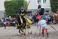 Hochprofessionelle Reitershow mit "Wenzel Ritterspiele" Bild: Hochprofessionelle Reitershow mit "Wenzel Ritterspiele"