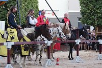 Hochprofessionelle Reitershow mit "Wenzel Ritterspiele" Bild: Hochprofessionelle Reitershow mit "Wenzel Ritterspiele"
