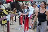 Hochprofessionelle Reitershow mit "Wenzel Ritterspiele" Bild: Hochprofessionelle Reitershow mit "Wenzel Ritterspiele"