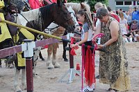 Hochprofessionelle Reitershow mit "Wenzel Ritterspiele" Bild: Hochprofessionelle Reitershow mit "Wenzel Ritterspiele"