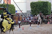 Hochprofessionelle Reitershow mit "Wenzel Ritterspiele" Bild: Hochprofessionelle Reitershow mit "Wenzel Ritterspiele"