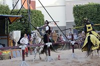 Hochprofessionelle Reitershow mit "Wenzel Ritterspiele" Bild: Hochprofessionelle Reitershow mit "Wenzel Ritterspiele"