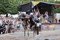 Hochprofessionelle Reitershow mit "Wenzel Ritterspiele" Bild: Hochprofessionelle Reitershow mit "Wenzel Ritterspiele"