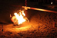 Hochprofessionelle Reitershow mit "Wenzel Ritterspiele" Bild: Hochprofessionelle Reitershow mit "Wenzel Ritterspiele"