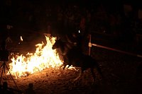 Hochprofessionelle Reitershow mit "Wenzel Ritterspiele" Bild: Hochprofessionelle Reitershow mit "Wenzel Ritterspiele"