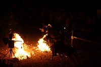 Hochprofessionelle Reitershow mit "Wenzel Ritterspiele" Bild: Hochprofessionelle Reitershow mit "Wenzel Ritterspiele"