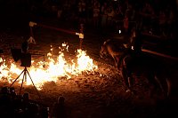 Hochprofessionelle Reitershow mit "Wenzel Ritterspiele" Bild: Hochprofessionelle Reitershow mit "Wenzel Ritterspiele"