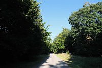 Peter Blei beim Waldspaziergang Bild: Peter Blei beim Waldspaziergang
