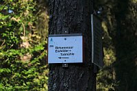 Peter Blei beim Waldspaziergang Bild: Peter Blei beim Waldspaziergang