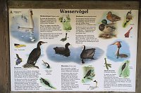 Bild: Sonntagswanderung an der Hassel-Vorsperre