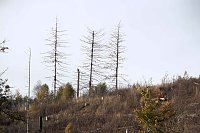 Bild: Sonntagswanderung an der Hassel-Vorsperre