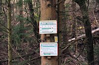 Bild: Sonntagswanderung an der Hassel-Vorsperre